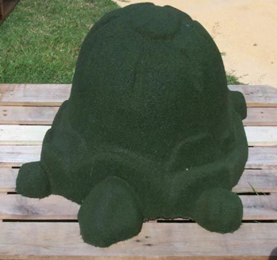 gtortise.jpg