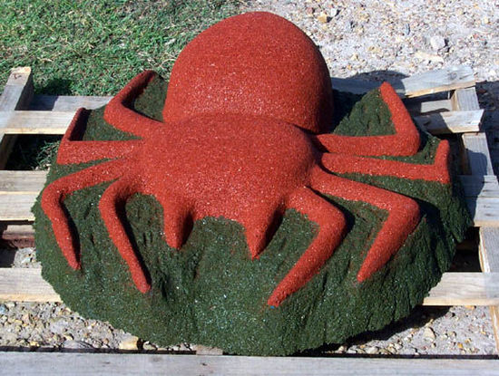 spider.jpg